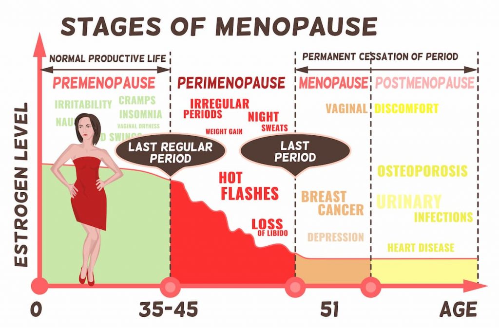 étapes de la ménopause